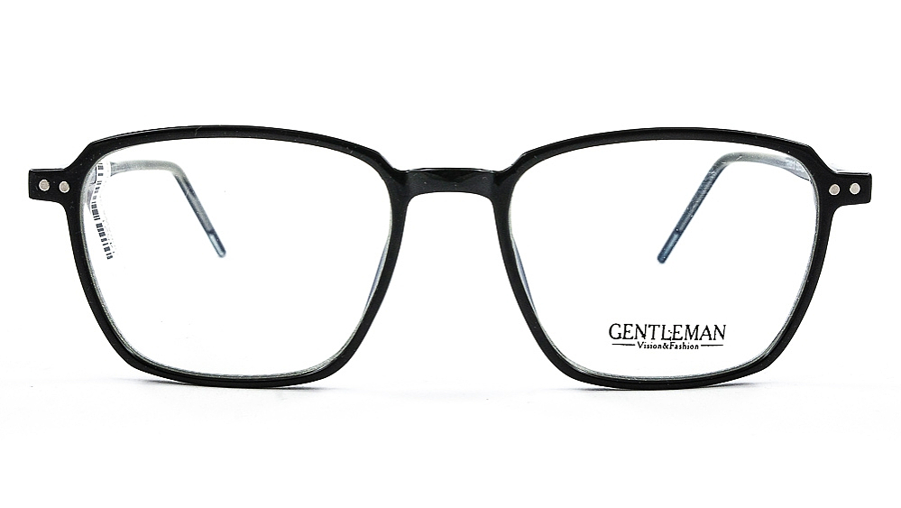 GENTLEMAN TR8913 C1 GENTLEMAN TR8913 C1
